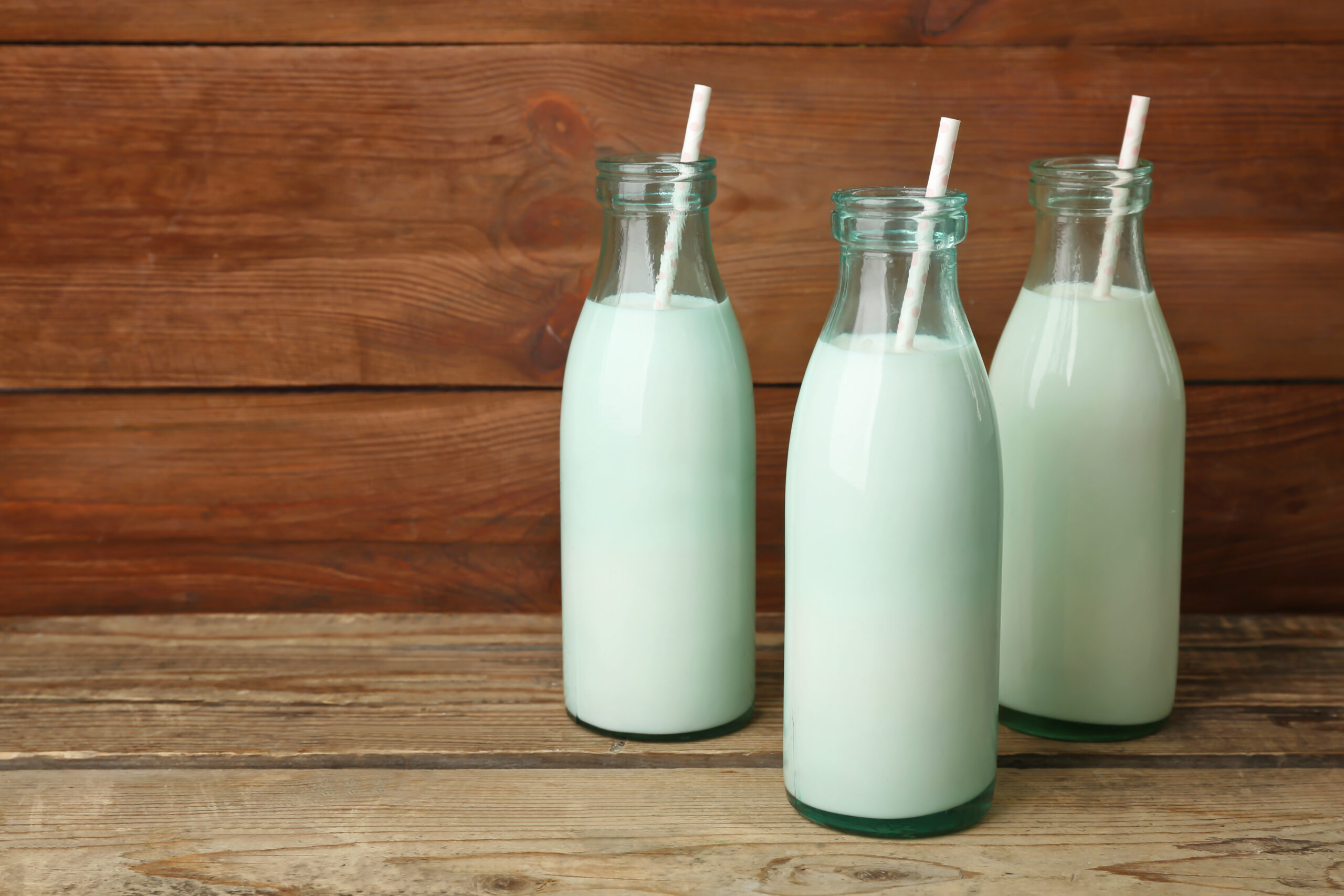 Kuh-, Schaf- oder Ziegenmilch? Welche wählen?